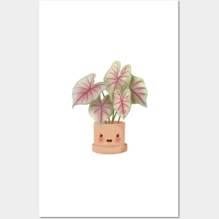 Cute Plant Illustration,Caladium Summer Breeze Illustration Posters and Art